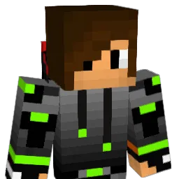 Dimidry's Minecraft skin