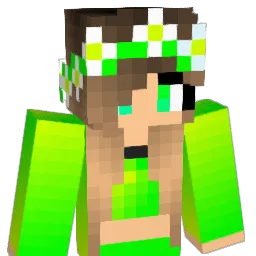Dimik_GG's Minecraft skin