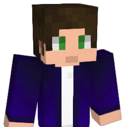 Dimizi's Minecraft skin