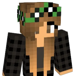 Dimples19_niggs Minecraft avatar bust