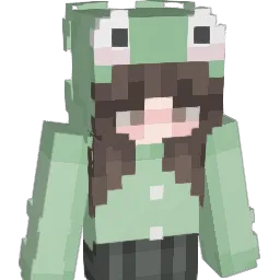 Dimplezx3 Minecraft avatar bust