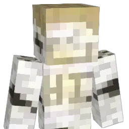 Dinfle Minecraft avatar bust