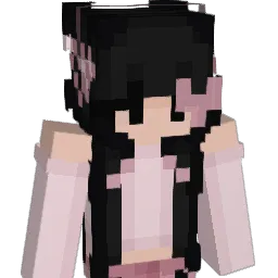 DingDongi1 Minecraft avatar bust