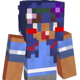 Ding_Pu