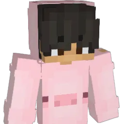 DingoFrame Minecraft avatar bust