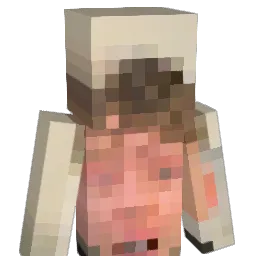 DinguDingus_ Minecraft avatar bust
