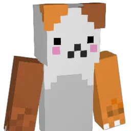 DingusLauncher43 Minecraft avatar bust