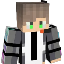 DinhPro_VN Minecraft avatar bust