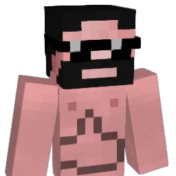 Diniland Minecraft avatar bust