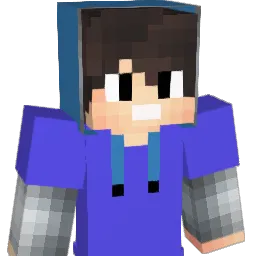 DinizBr01 Minecraft avatar bust
