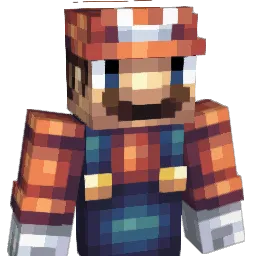 Dinsum1 Minecraft avatar bust