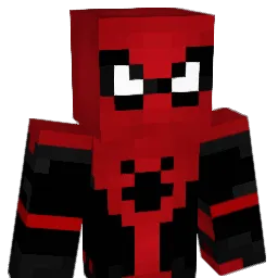 DioMeDx's Minecraft skin