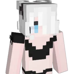 Diogo2122 Minecraft avatar bust