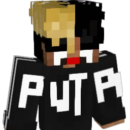 Diozinkk Minecraft avatar bust
