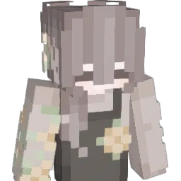 Dip69's Minecraft skin
