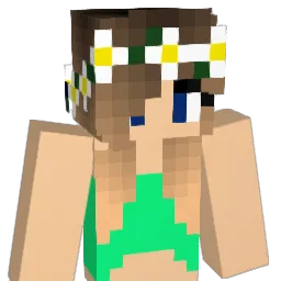 DipDyedHipster13 Minecraft avatar bust