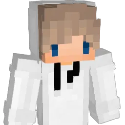 Diplomatics Minecraft avatar bust