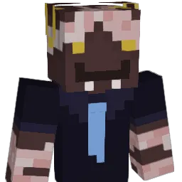Diploop Minecraft avatar bust