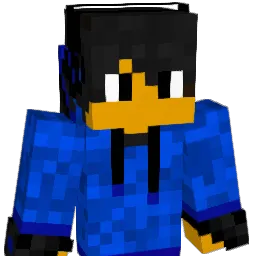 DireVision Minecraft avatar bust