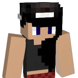 Directioner585 Minecraft avatar bust