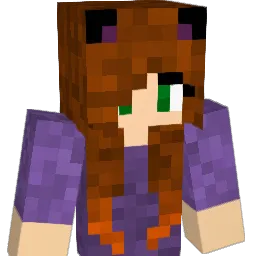 Dirni12