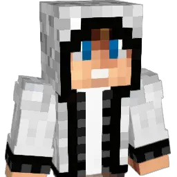 Disallusion Minecraft avatar bust