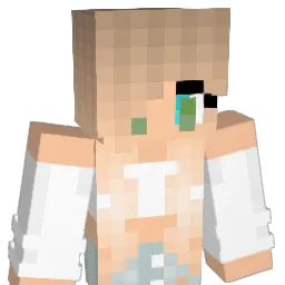 DiscoVis Minecraft avatar bust