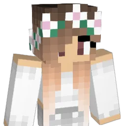 Disco_Schaap Minecraft avatar bust