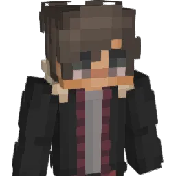 Disco__nnected Minecraft avatar bust