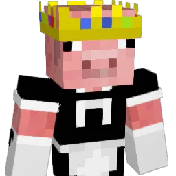 Disconnected6789 Minecraft avatar bust
