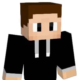 Discowy2_0 Minecraft avatar bust