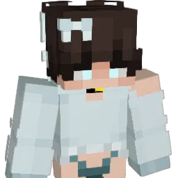 Dishwasherness Minecraft avatar bust