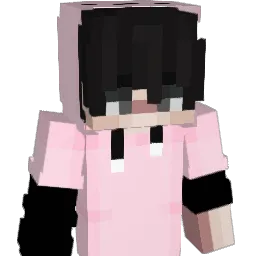 Distraidoo Minecraft avatar bust