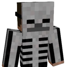 DiversaoNoZap Minecraft avatar bust