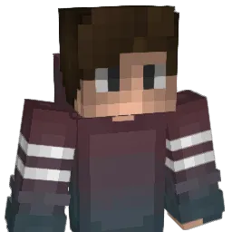 Diwix_ Minecraft avatar bust