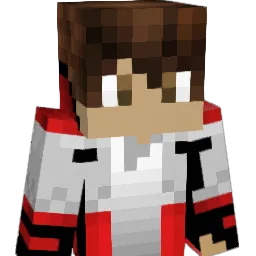 Dixer0706 Minecraft avatar bust