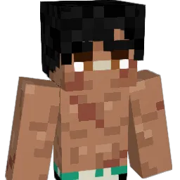 Dizeto Minecraft avatar bust