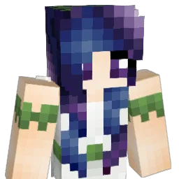 DizzySkunky Minecraft avatar bust