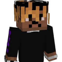 Dj_Bundy999 Minecraft avatar bust