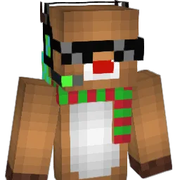 Dj_Reindeer Minecraft avatar bust