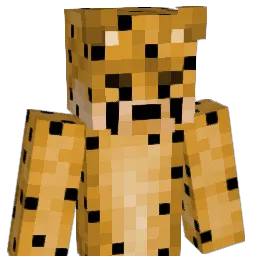 Djmikeygargar's Minecraft skin