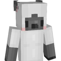 Djumbo2's Minecraft skin
