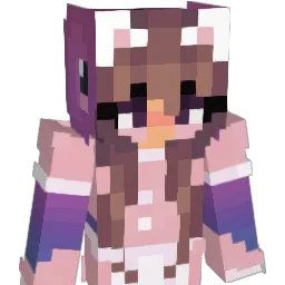 DlNK_FINKLER Minecraft avatar bust