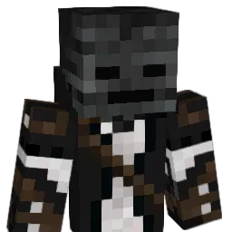 Dlllds Minecraft avatar bust