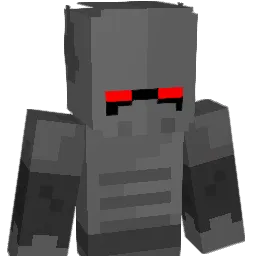 Dm1400pl Minecraft avatar bust