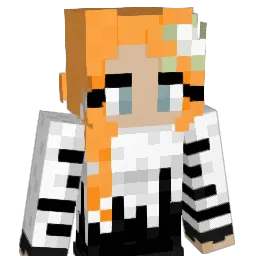 Dmj1611 Minecraft avatar bust