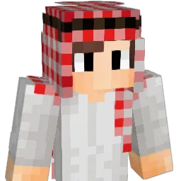 Dmm07 Minecraft avatar bust