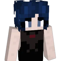 DnCSM
