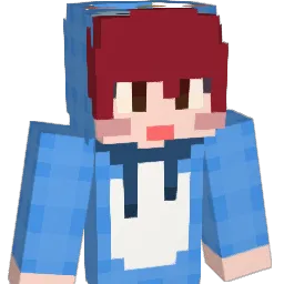 Dng_o Minecraft avatar bust