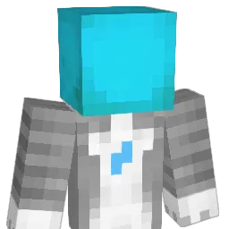 Dnl1712 Minecraft avatar bust